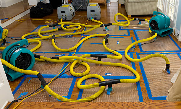 Professional Basement Flood Cleanup technician working in Oakland, SC